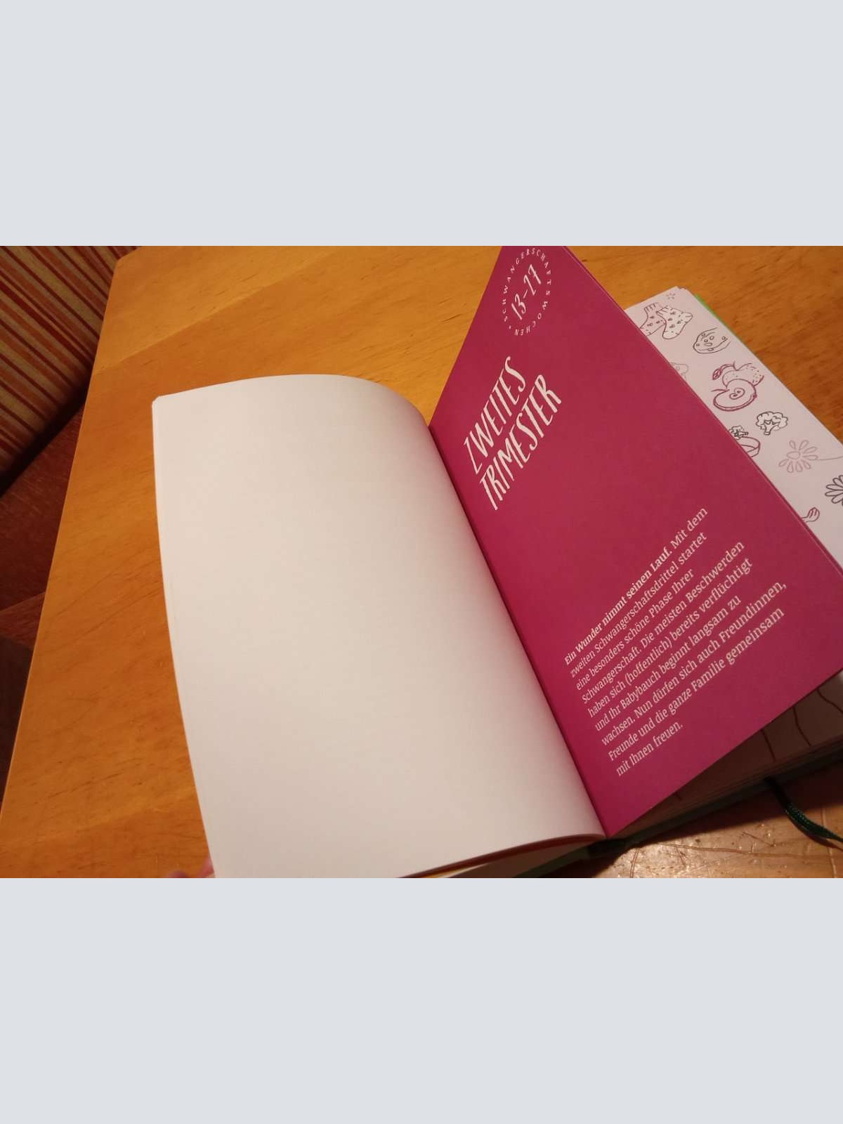 Sehr schönes neuwertiges Buch abzugeben, Mein täglicher Begleiter Schwangerschaft