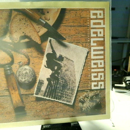 SINGLE / Edelweiss – Bring Me Edelweiss