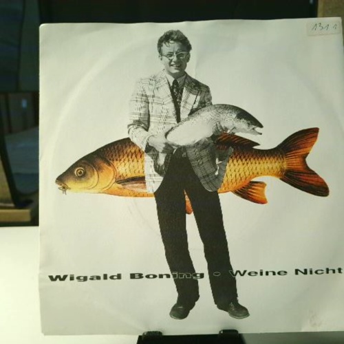 SINGLE / Wigald Boning – Weine Nicht