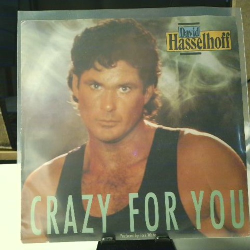 SINGLE / David Hasselhoff – Crazy For You
