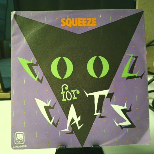 SINGLE / Squeeze (2) – Cool For Cats