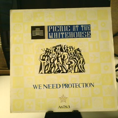 SINGLE / Picnic At The Whitehouse – We Need Protection