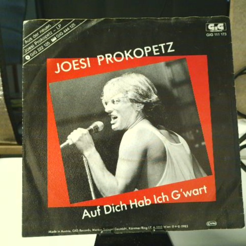 SINGLE / Joesi Prokopetz – Auf Dich Hab Ich G'wart