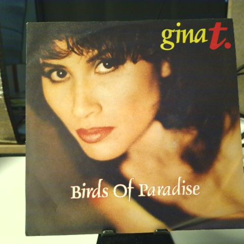 SINGLE / Gina T. – Birds Of Paradise