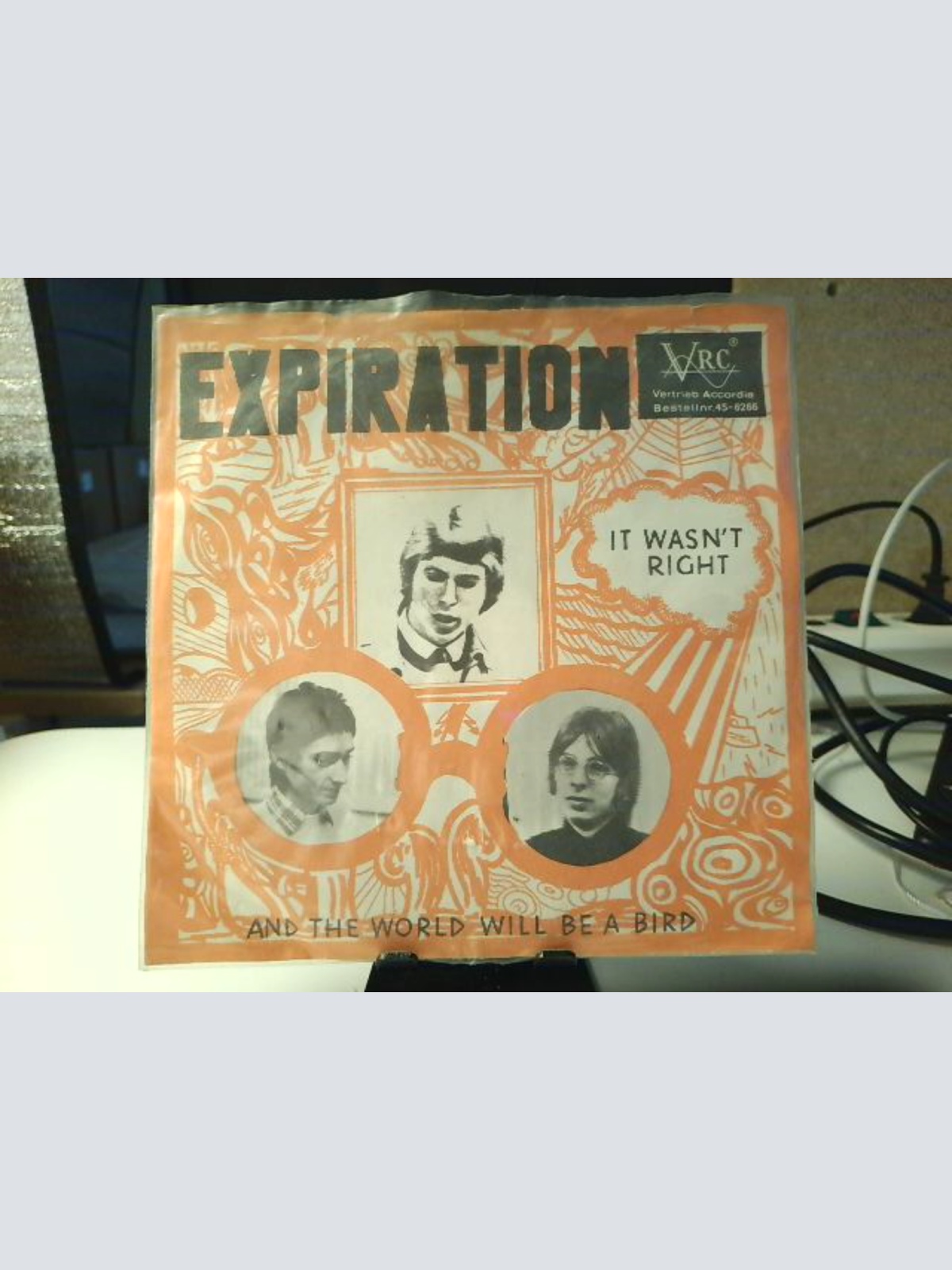 SINGLE / Expiration (2) ‎– It Wasn't Right / And The World Will Be A Bird
