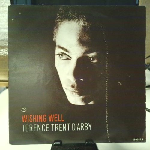 SINGLE / Terence Trent D'Arby – Wishing Well