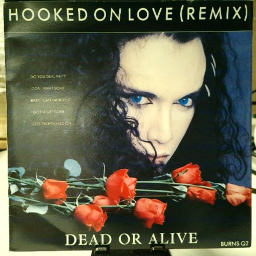 SINGLE / Dead Or Alive – Hooked On Love (Remix)