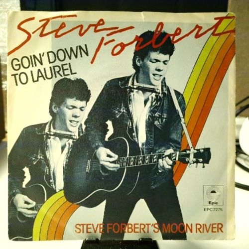 SINGLE / Steve Forbert – Goin' Down To Laurel / Steve Forbert's Moon River