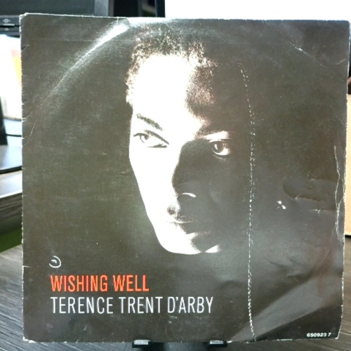SINGLE / Terence Trent D'Arby – Wishing Well