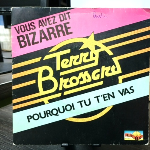 SINGLE / Terry Brossard – Vous Avez Dit Bizarre