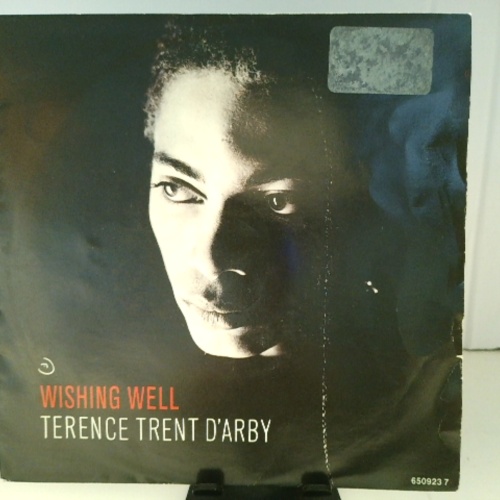 SINGLE / Terence Trent D'Arby – Wishing Well