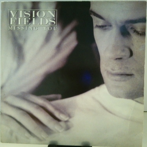 SINGLE / Vision Fields – Missing You