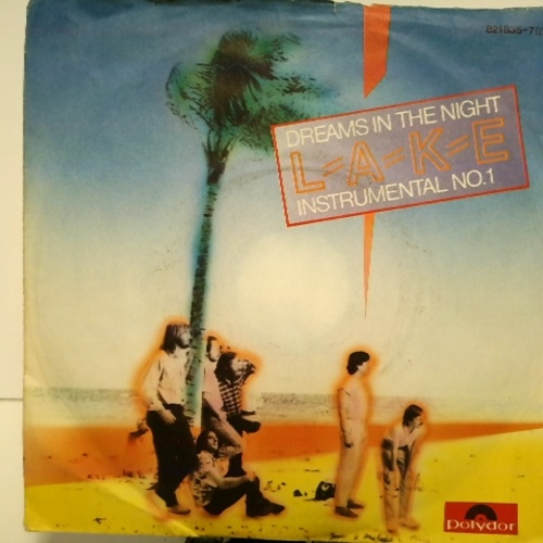 SINGLE / Lake (2) – Dreams In The Night