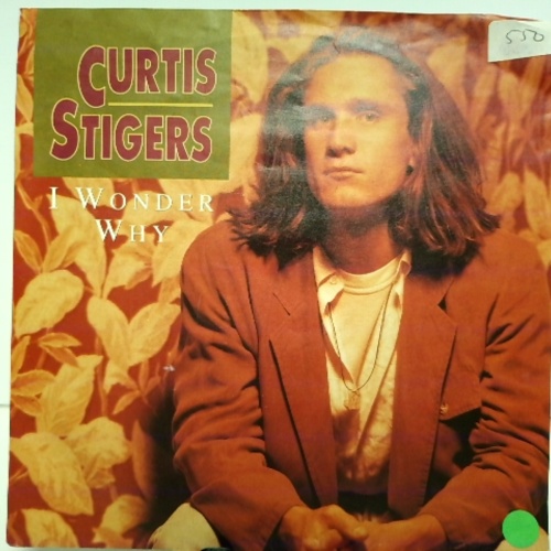 SINGLE / Curtis Stigers – I Wonder Why
