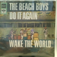 SINGLE / The Beach Boys – Do It Again / Wake The World