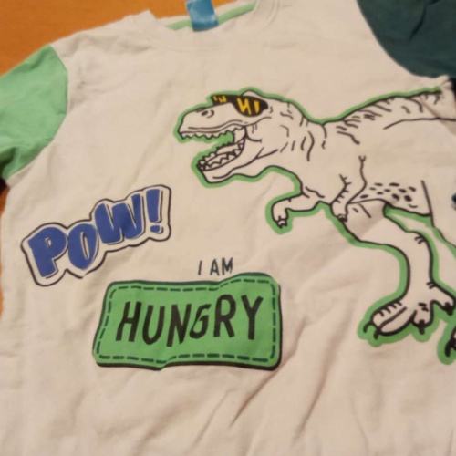 Sehr schöner Dinosaurier Pullover von little Kids in gr. 134 abzugeben