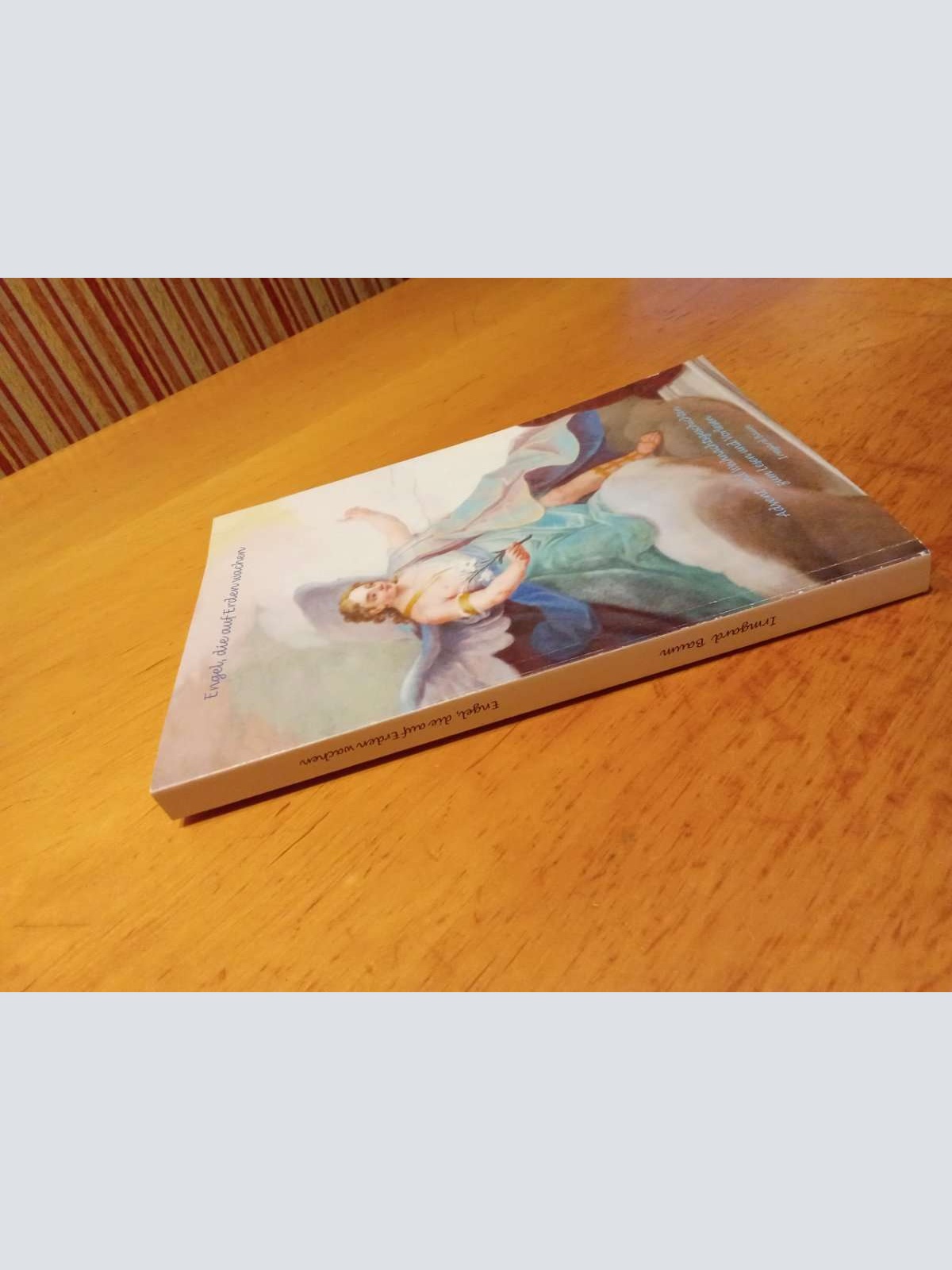 Sehr schönes Buch abzugeben, Engel die auf Erden wachen.