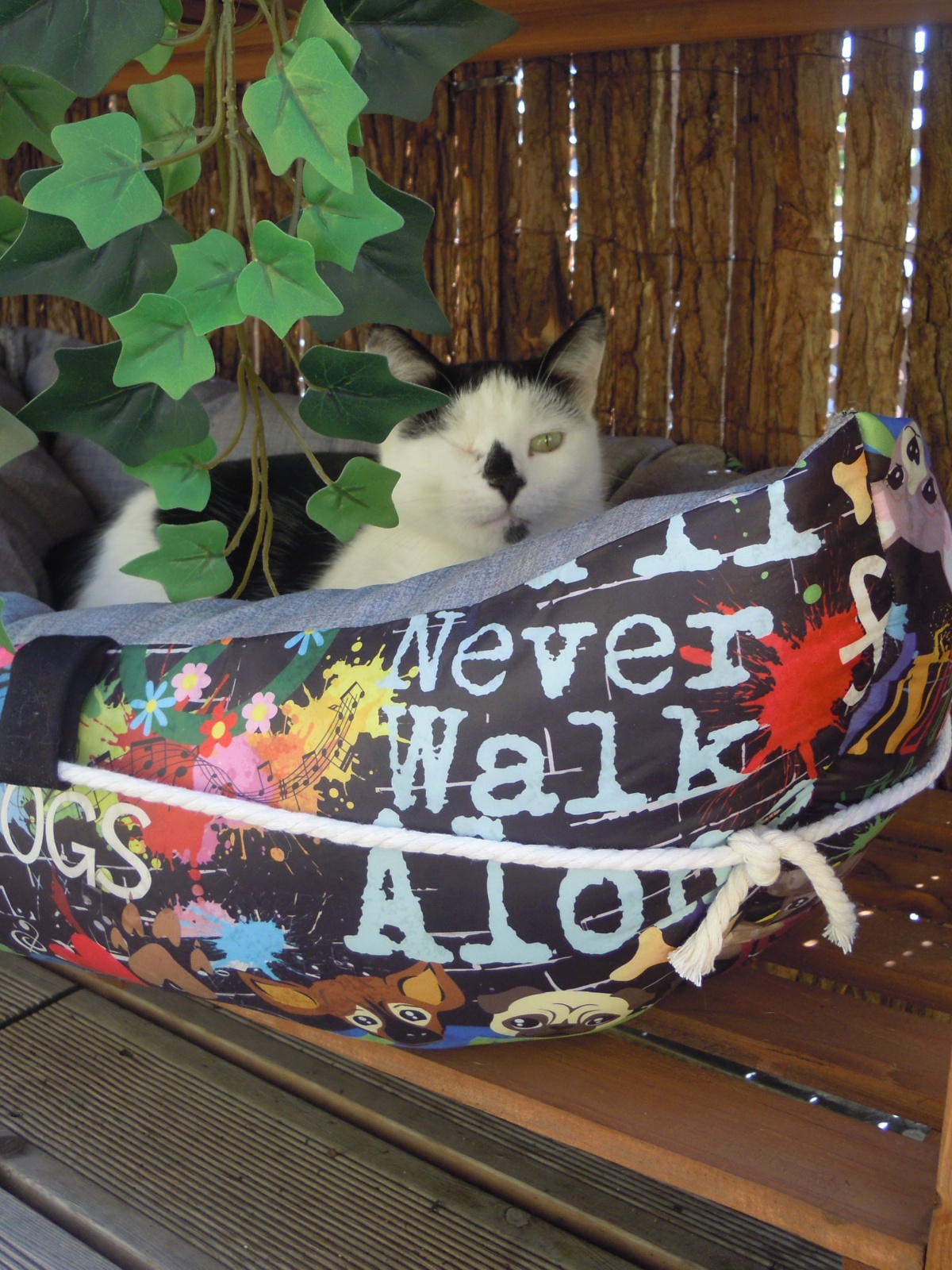 Hunde.-Katzenbett Boot Wuffz of Graffitischön