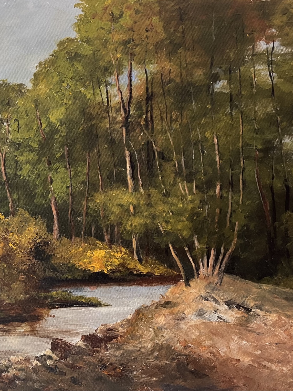 Flusslandschaft - Silldorff