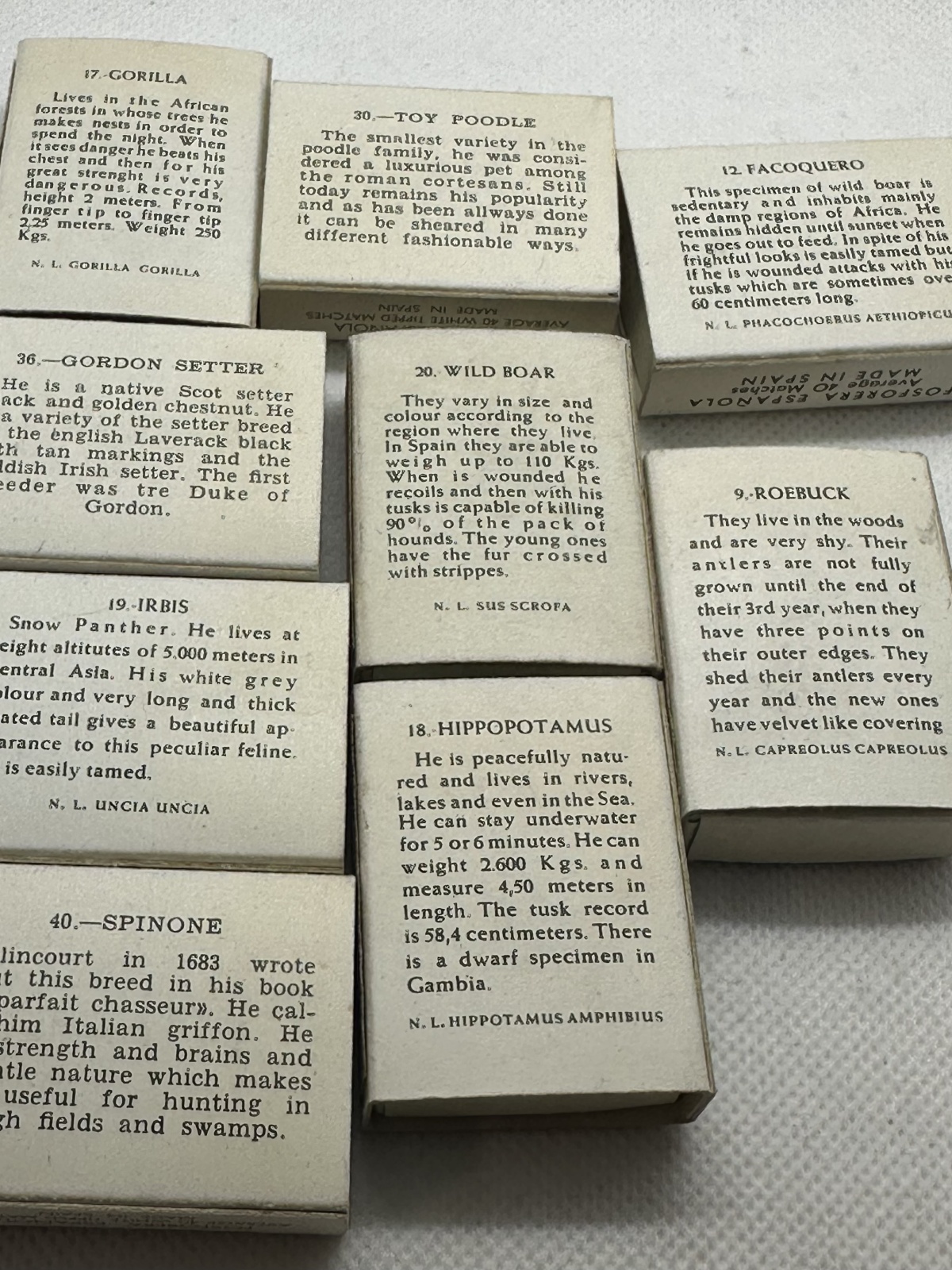 9 Stk. antike spanische Streichholzschachteln Fa. Fosforera