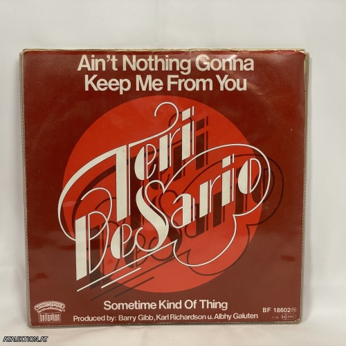 SINGLE / Teri De Sario – Ain't Nothing Gonna Keep Me From You