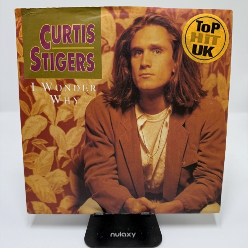Single / Curtis Stigers – I Wonder Why