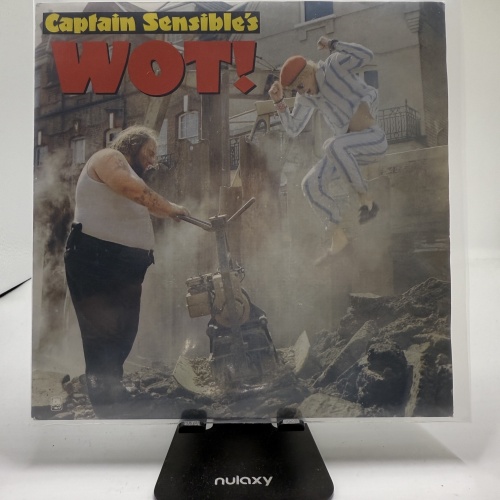 Single / Captain Sensible – Wot!