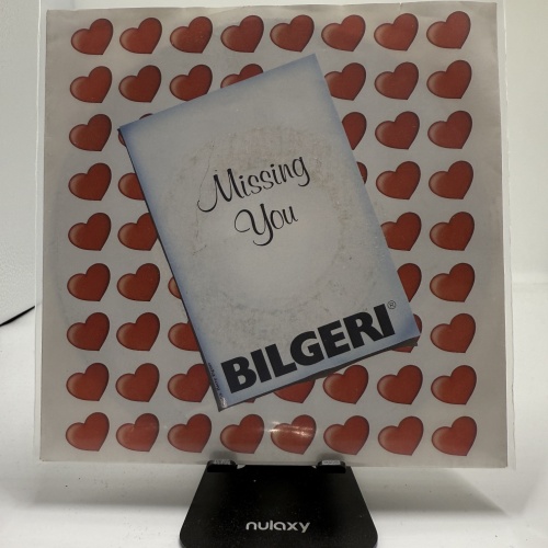 Single / Bilgeri – Missing You / Dreaming Dreams