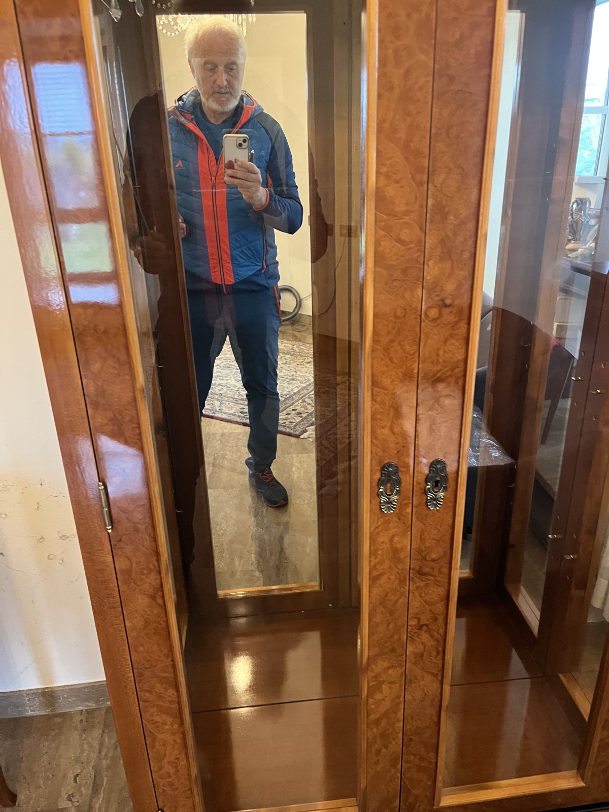 Schöne Glastürvitrine (29)