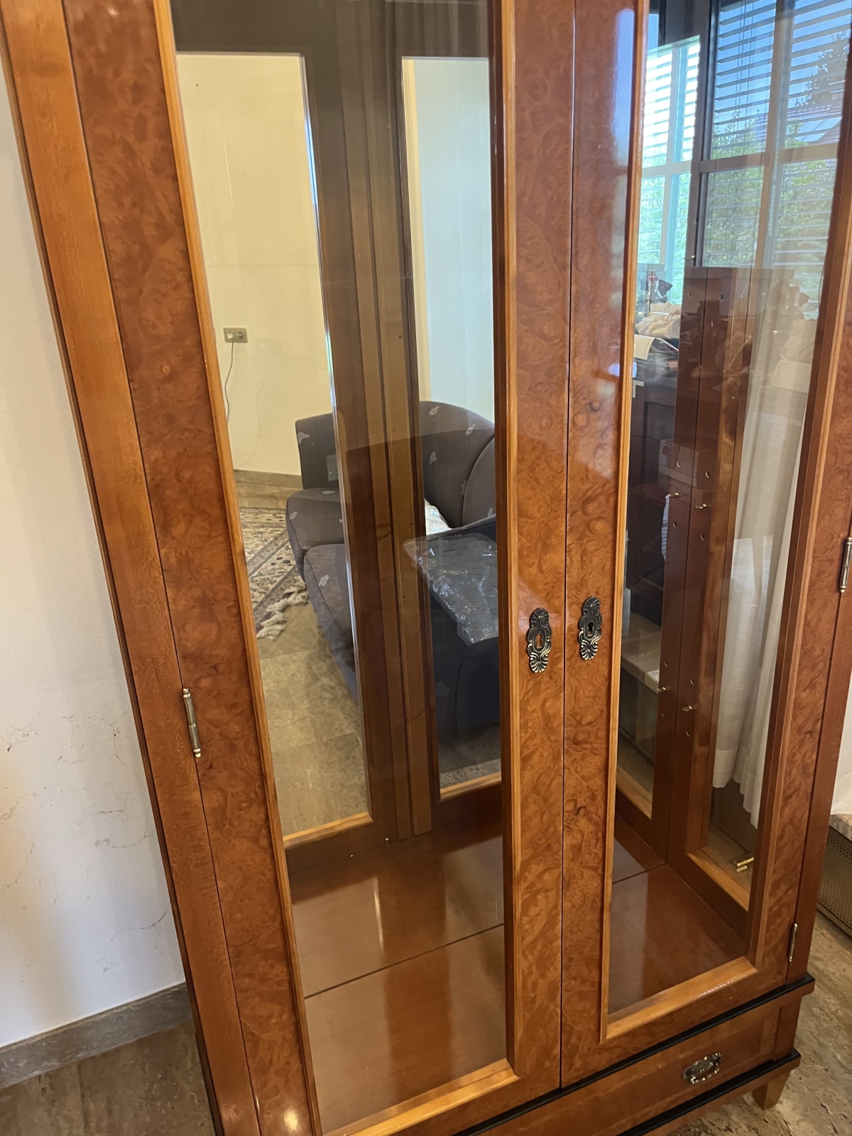 Schöne Glastürvitrine (29)