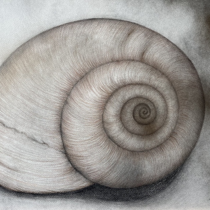 Zuhause - Wolfgang Galler