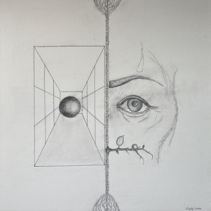 Beobachtungen - Wolfgang Galler