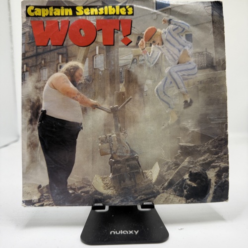 Single / Captain Sensible – Wot!