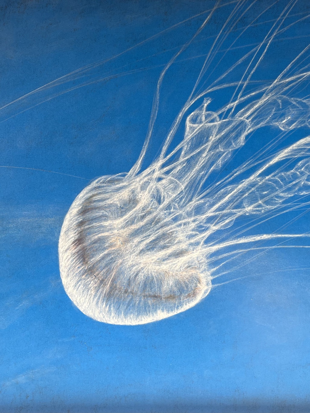 Freiheit - Wolfgang Galler