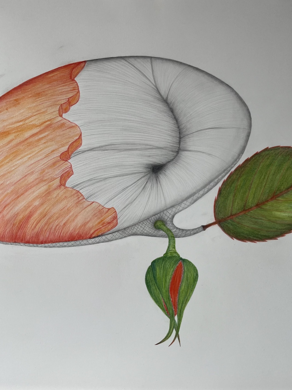 Kraft der Natur - Wolfgang Galler