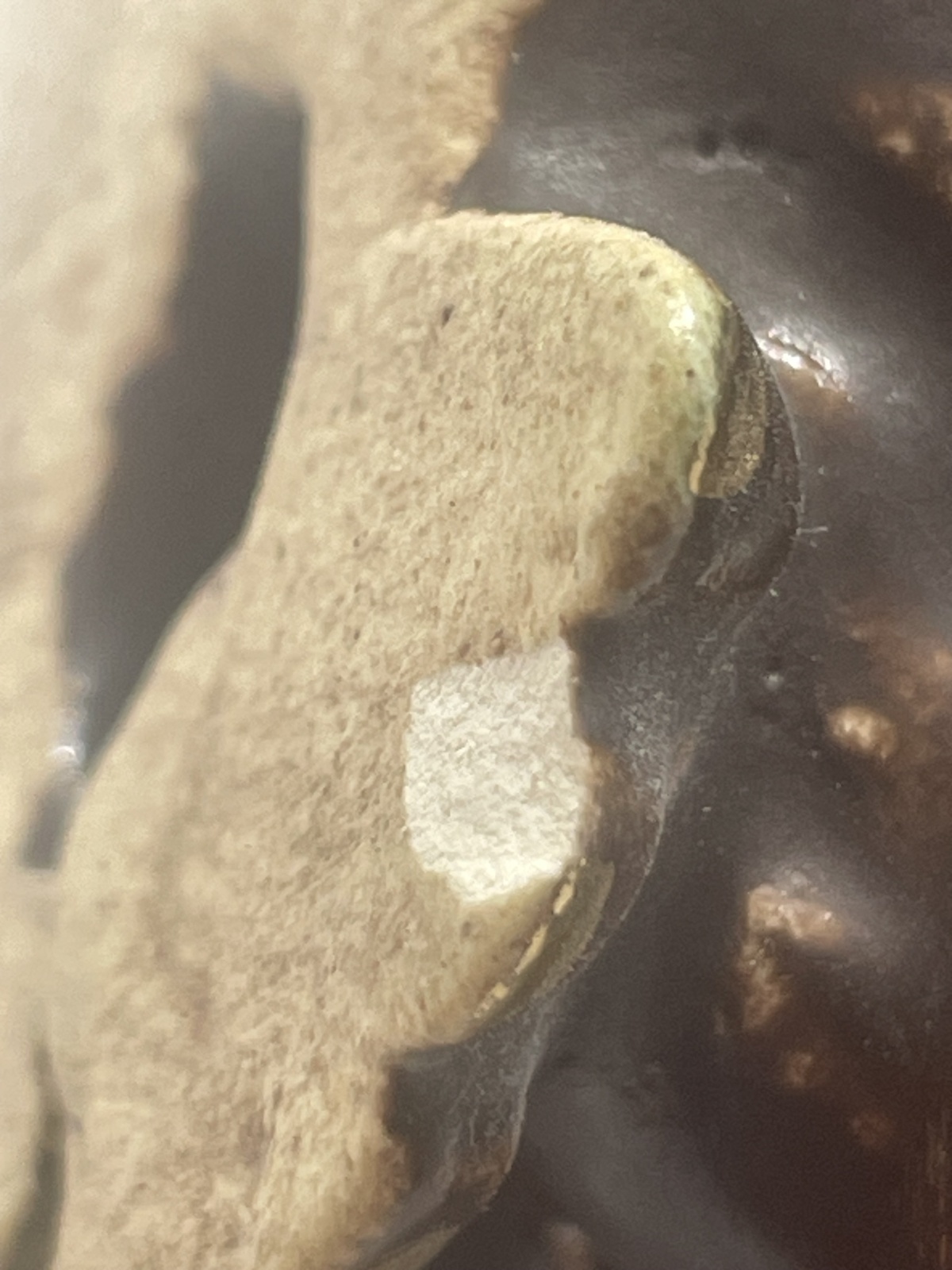 Seltene Mürztaler Keramik - Affe