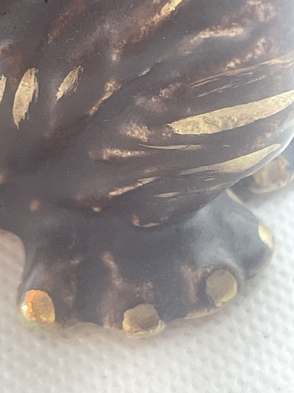 Seltene Mürztaler Keramik - Affe