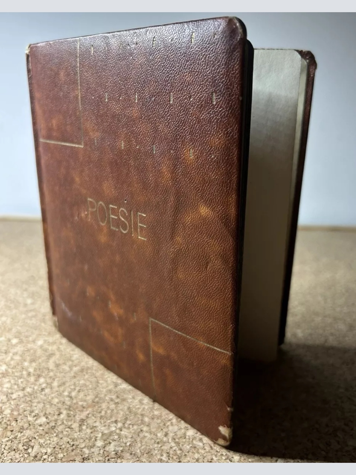 1940er Persönliches Tagebuch einer österreichischen Dichterin und Malerin aus dem 2 Weltkrieg