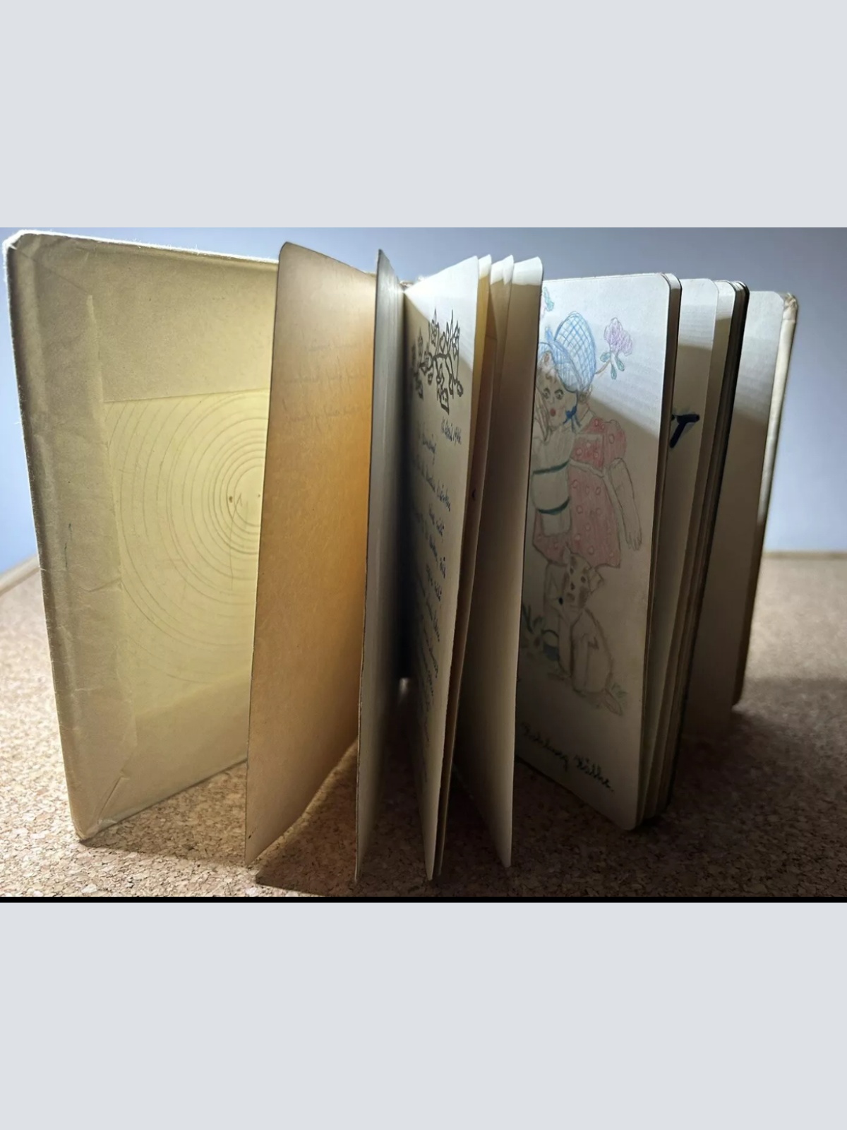 1940er Persönliches Tagebuch einer österreichischen Dichterin und Malerin aus dem 2 Weltkrieg