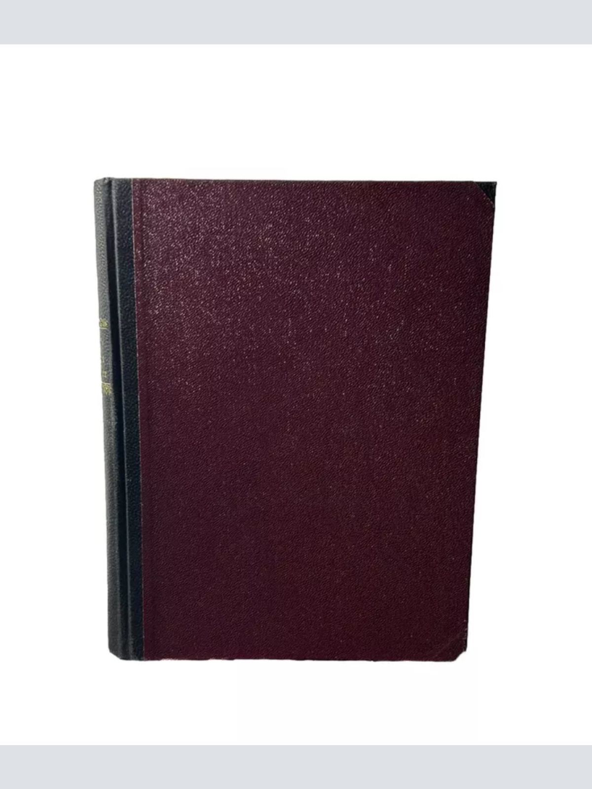 Antike 1941 Albrecht Altdorfer Gemäldesammlung im Buch von Ludwig Baldass