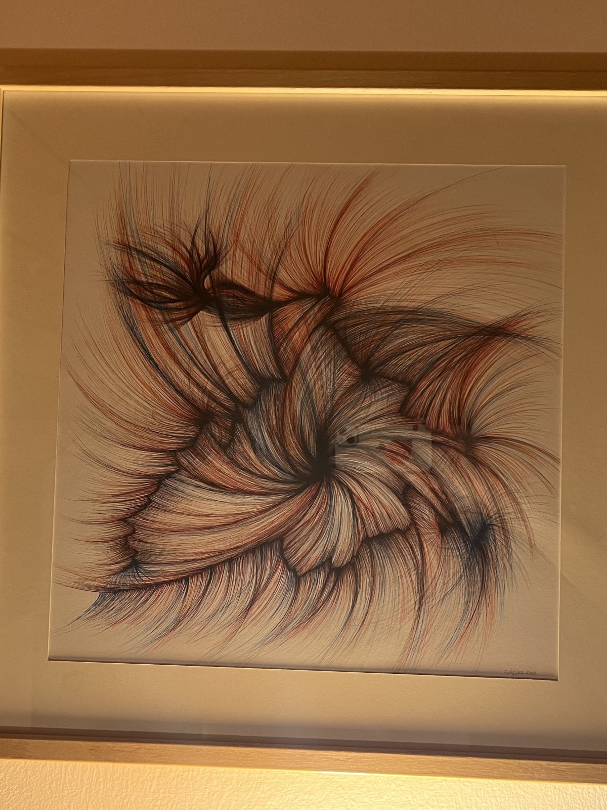 Vielseitigkeit - Wolfgang Galler