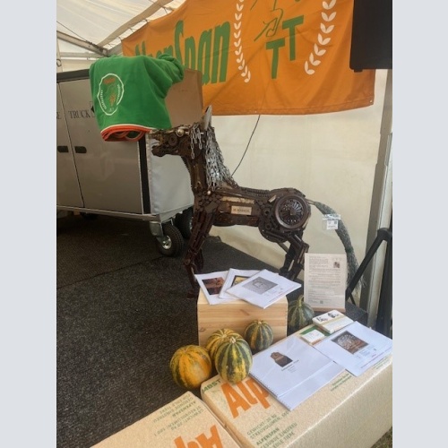 Pferdegeflüster -  M.Marksl