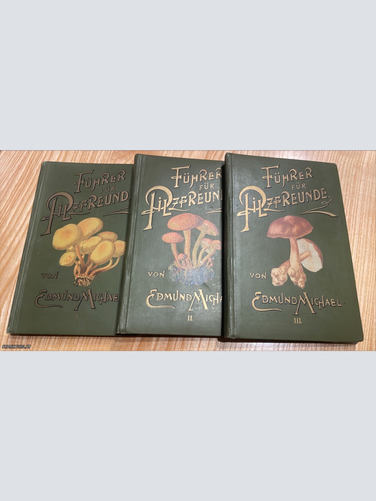 3 Bände Führer für Pilzfreunde von Edmund Michael
