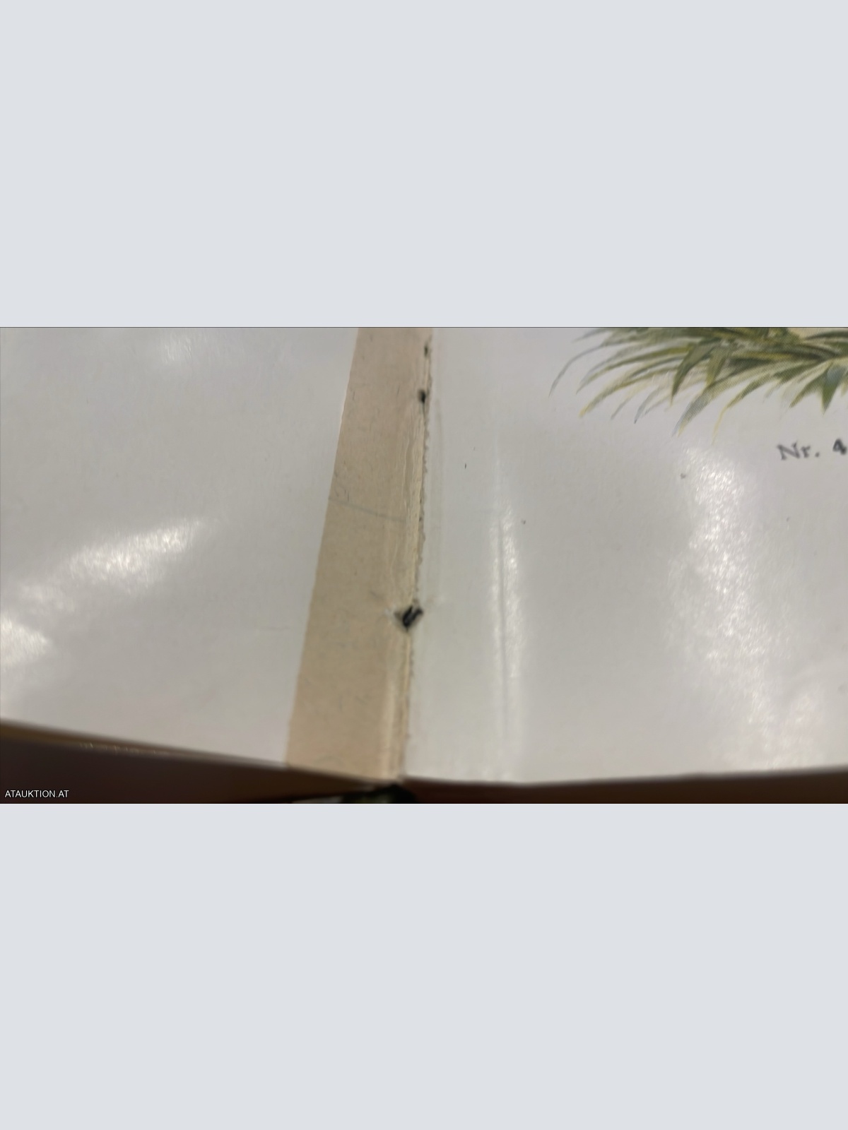 3 Bände Führer für Pilzfreunde von Edmund Michael