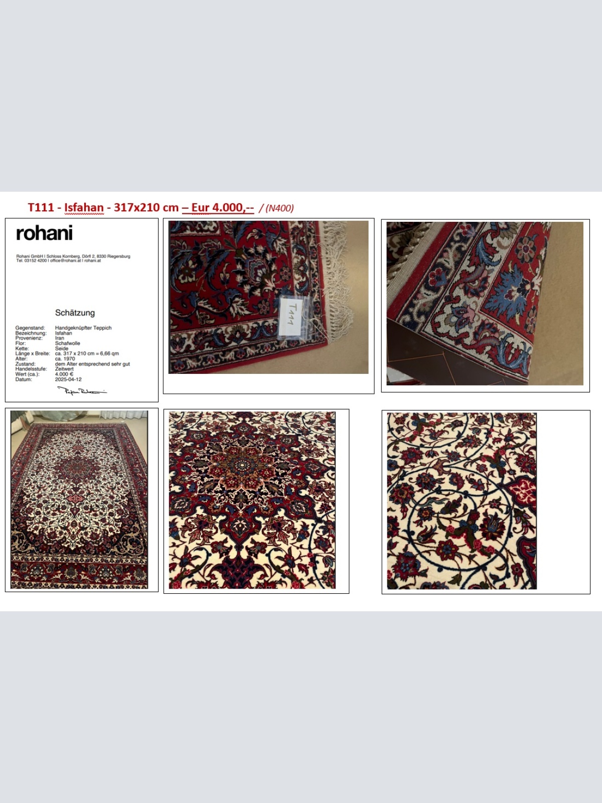 T111 - Isfahan - 317x210 cm / (N400)