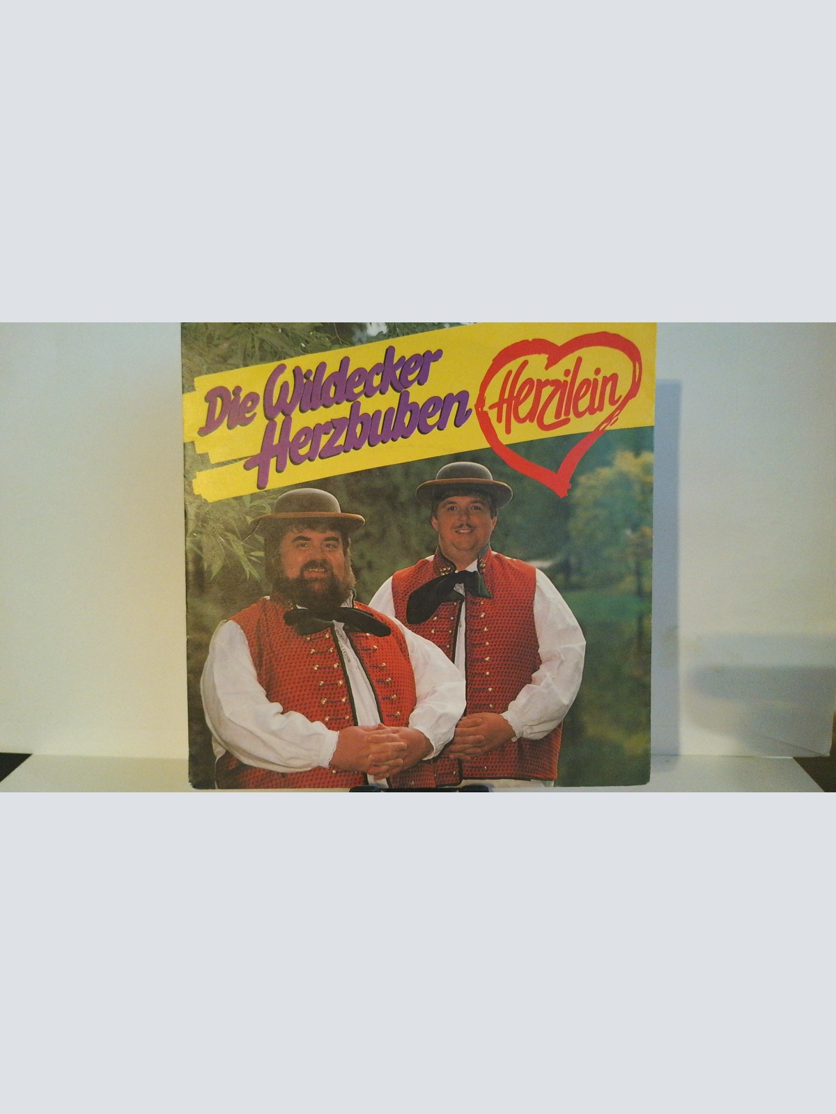 SINGLE / Die Wildecker Herzbuben – Herzilein