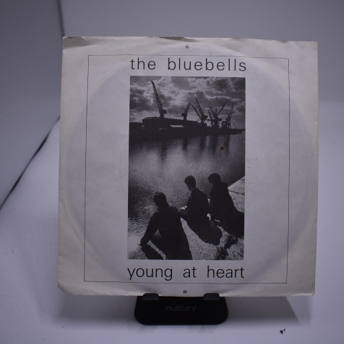 Single / The Bluebells – Young At Heart