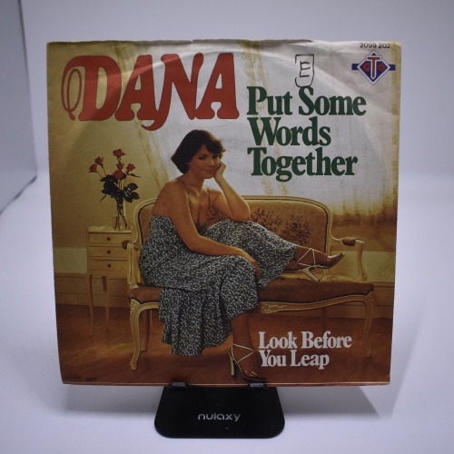 Single / Dana – Put Some Words Together