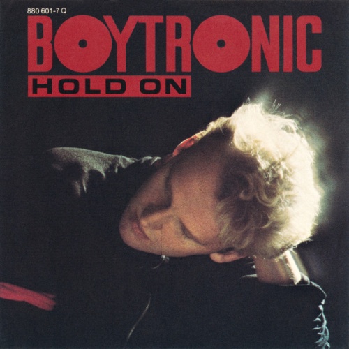 Vinyl / Boytronic - Hold On