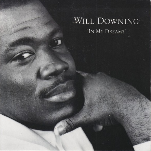 Vinyl / Will Downing - In My Dreams